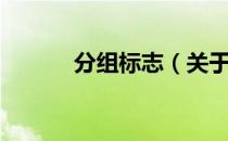 分组标志（关于分组标志介绍）