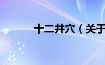 十二井穴（关于十二井穴简介）