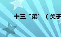 十三“弟”（关于十三“弟”简介）