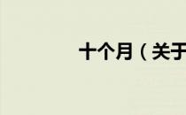 十个月（关于十个月简介）