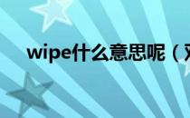 wipe什么意思呢（双wipe是什么意思）