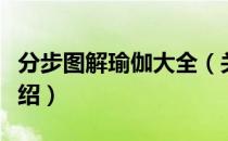 分步图解瑜伽大全（关于分步图解瑜伽大全介绍）