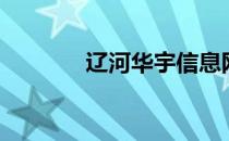 辽河华宇信息网（辽河华宇）