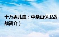 十万男儿血：中条山保卫战（关于十万男儿血：中条山保卫战简介）
