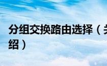 分组交换路由选择（关于分组交换路由选择介绍）