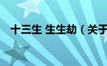 十三生 生生劫（关于十三生 生生劫简介）