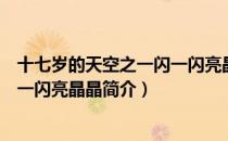 十七岁的天空之一闪一闪亮晶晶（关于十七岁的天空之一闪一闪亮晶晶简介）
