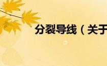 分裂导线（关于分裂导线介绍）