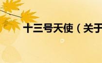 十三号天使（关于十三号天使简介）