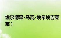 埃尔德森·乌瓦·埃希埃吉莱（关于埃尔德森·乌瓦·埃希埃吉莱）