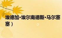 埃德加·埃尔南德斯·马尔塞（关于埃德加·埃尔南德斯·马尔塞）