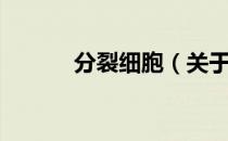 分裂细胞（关于分裂细胞介绍）