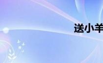 送小羊回家4