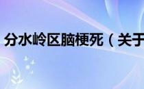 分水岭区脑梗死（关于分水岭区脑梗死介绍）