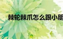 棘轮棘爪怎么跟小朋友解释（棘轮棘爪）