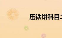 压铁饼科目二（压铁饼）