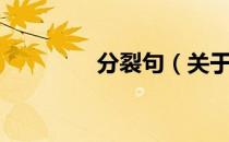 分裂句（关于分裂句介绍）