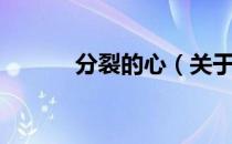 分裂的心（关于分裂的心介绍）