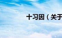 十习因（关于十习因简介）