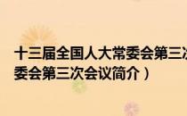 十三届全国人大常委会第三次会议（关于十三届全国人大常委会第三次会议简介）