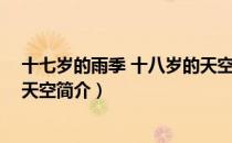 十七岁的雨季 十八岁的天空（关于十七岁的雨季 十八岁的天空简介）