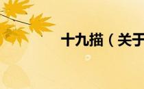 十九描（关于十九描简介）