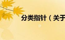 分类指针（关于分类指针介绍）