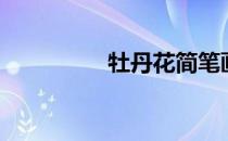 牡丹花简笔画（牡丹节）