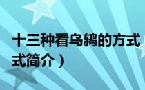 十三种看乌鸫的方式（关于十三种看乌鸫的方式简介）
