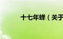 十七年蝉（关于十七年蝉简介）