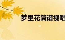 梦里花简谱视唱（梦里花简谱）