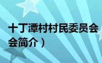 十丁潭村村民委员会（关于十丁潭村村民委员会简介）