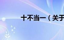 十不当一（关于十不当一简介）