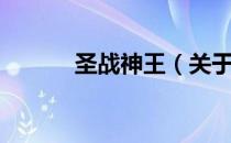 圣战神王（关于圣战神王简介）