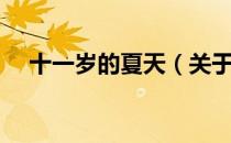 十一岁的夏天（关于十一岁的夏天简介）