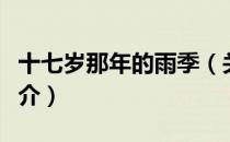 十七岁那年的雨季（关于十七岁那年的雨季简介）