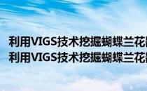 利用VIGS技术挖掘蝴蝶兰花器官性状形成相关新基因（关于利用VIGS技术挖掘蝴蝶兰花器官性状形成相关新基因）