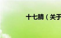 十七腈（关于十七腈简介）