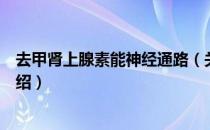 去甲肾上腺素能神经通路（关于去甲肾上腺素能神经通路介绍）
