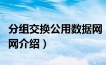 分组交换公用数据网（关于分组交换公用数据网介绍）