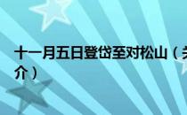 十一月五日登岱至对松山（关于十一月五日登岱至对松山简介）