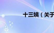 十三姨（关于十三姨简介）