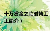 十万赏金之临时特工（关于十万赏金之临时特工简介）