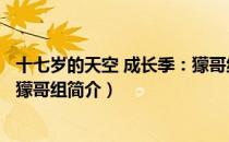 十七岁的天空 成长季：獴哥组（关于十七岁的天空 成长季：獴哥组简介）