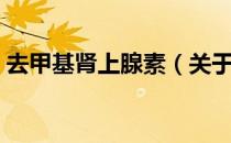 去甲基肾上腺素（关于去甲基肾上腺素介绍）
