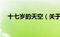 十七岁的天空（关于十七岁的天空简介）