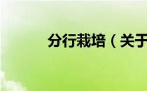 分行栽培（关于分行栽培介绍）