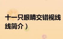 十一只眼睛交错视线（关于十一只眼睛交错视线简介）
