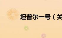 坦普尔一号（关于坦普尔一号）