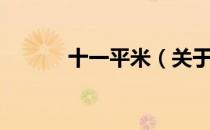 十一平米（关于十一平米简介）